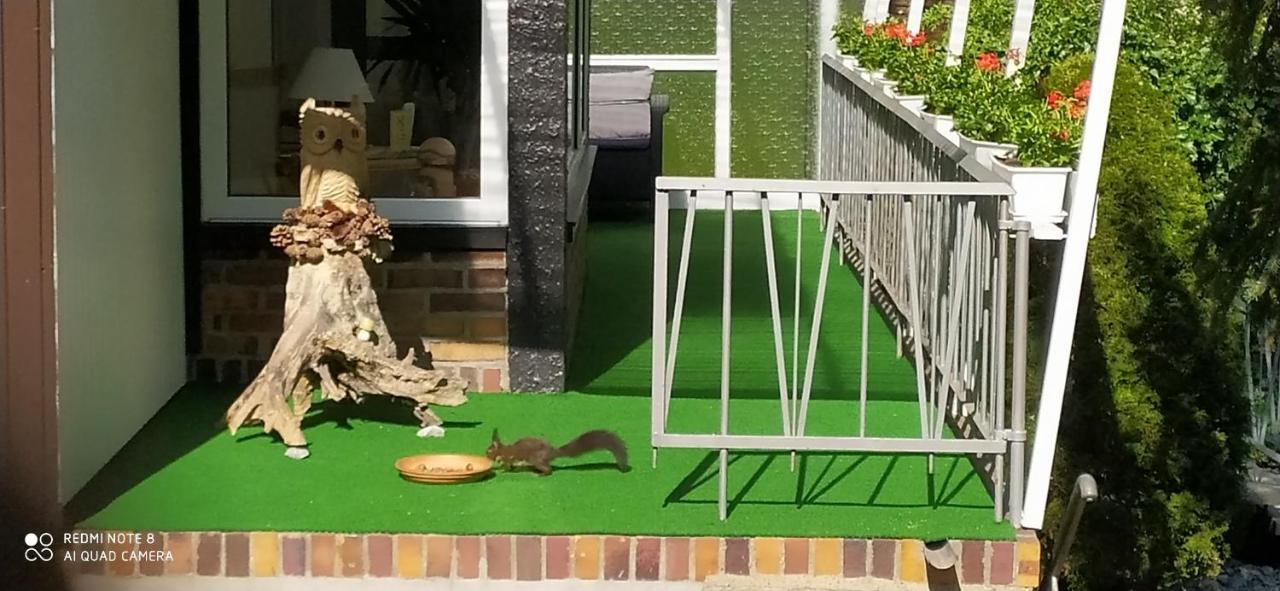 Ferienhaus Giesela **** Wernigerode Bagian luar foto