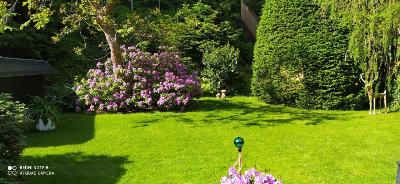 Ferienhaus Giesela **** Wernigerode Bagian luar foto